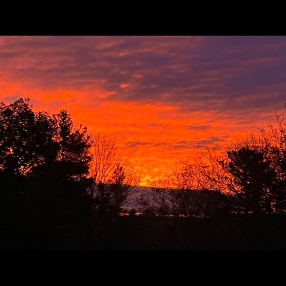 Meet your Posher, Trisha - Picture 6 of 15